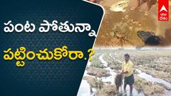 కర్నూలు జిల్లా చాగలమర్రి వద్ద తెలుగు గంగ కాలువ నుంచి నీరు లీకేజీ