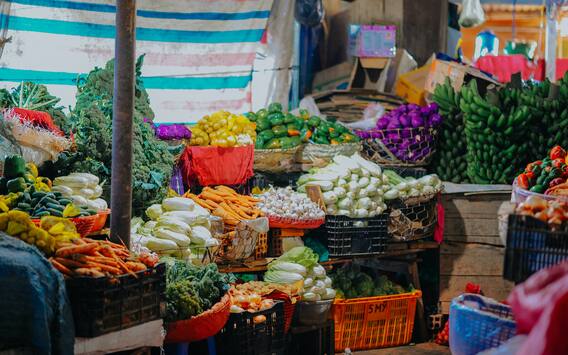 Winter Season Food: শীতকালে সুস্থ থাকতে এড়িয়ে চলুন এই খাবারগুলি