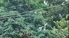 આપણી ખબર: વડોદરાના વાઘોડિયામાં કમૌસમી વરસાદ, ખેડૂતો થયા ચિંતિત, જુઓ ગુજરાતી ન્યુઝ