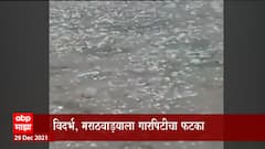 Rain Update :मेघगर्जनांसह पाऊस आणि गारपीट, विदर्भात अनेक ठिकाणी विजांच्या कडकडाटासह  पावसाचा अंदाज