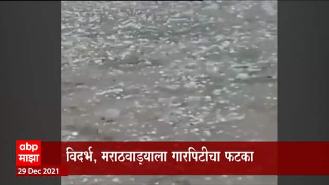 Rain Update :मेघगर्जनांसह पाऊस आणि गारपीट, विदर्भात अनेक ठिकाणी विजांच्या कडकडाटासह  पावसाचा अंदाज