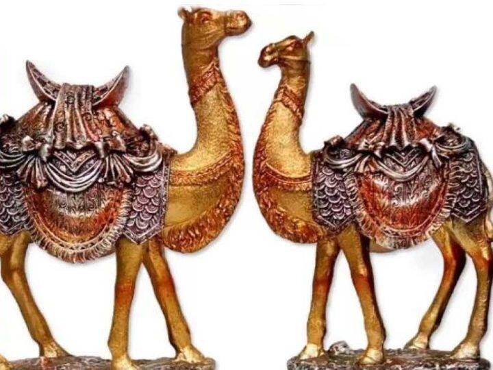 feng shui tips keep this camel at your home or workplace  to become rich Feng Shui Tips: फेंगशुई में इस जानवर की मूर्ति भी है बेहद चमत्कारी, सही दिशा में रखते ही राजा बन जाता है व्यक्ति!