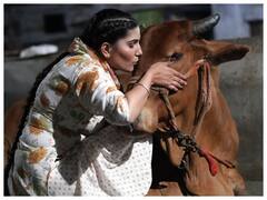 GoodBye 2021: Sapna Choudhary ने कभी गाय के साथ खिंचवाई फोटो तो कभी दिखाया अपना देसी अंदाज