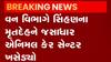 ગીર સોમનાથઃ વેણ વિસ્તારમાં મળ્યો સિંહણનો મૃતદેહ, જુઓ ગુજરાતી ન્યૂઝ