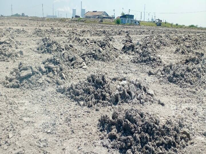 Thoothukudi: Resting Northeast Monsoon - Salts ready for salt production ஓய்ந்து போன வடகிழக்கு பருவமழை - உப்பு உற்பத்திக்கு தயாராகும் உப்பளங்கள்