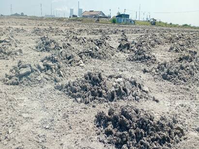 Thoothukudi: Resting Northeast Monsoon - Salts ready for salt production ஓய்ந்து போன வடகிழக்கு பருவமழை - உப்பு உற்பத்திக்கு தயாராகும் உப்பளங்கள்