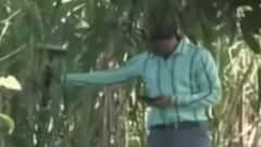 સમાચાર શતક: જમીન માપણી-રી સર્વે મામલે વાંધા અરજીના નિકાલ મુદ્દે 1 વર્ષની મુદ્દત લંબાવાઈ, જુઓ ગુજરાતી ન્યુઝ