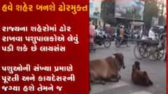 રાજ્યમાં શહેરી વિસ્તારમાં રખડતા ઢોરની સમસ્યાના નિરાકરણ માટે વિધાનસભામાં લવાશે બિલ