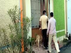 25 சவரன் நகையை கொள்ளையடித்துவிட்டு வீட்டிற்கு தீ வைத்து சென்ற திருடன்