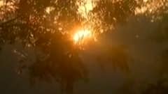 કચ્છમાં પવનની ગતિ વધતા ઠંડીમાં થયો વધારો, જુઓ ગુજરાતી ન્યુઝ