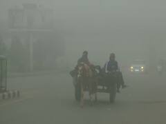 Punjab Weather and Pollution Report: अब पंजाब को घेरेगा घना कोहरा, प्रदूषण में बहुत कमी लेकिन बढ़ रही है शीत लहर की संभावना