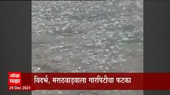 Maharashtra Hailstorm : राज्यातील 11 जिल्ह्यांना अवकाळी पावसाने झोडपलं ABP Majha