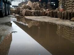 MP News: बेमौसम बरसात ने बढ़ाई मुश्किलें, खरीदी केंद्रों में रखी हजारों क्विंटल धान हुई बर्बाद