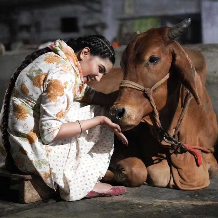 सपना चौधरी ने अपने इंस्टाग्राम पर गाय के साथ भी अपनी एक खूबसूरत तस्वीर शेयर की थी. इस तस्वीर को शेयर करते हुए सपना ने लिखा था, हमारे घर के सबसे प्यारे सदस्य से मिलिए.