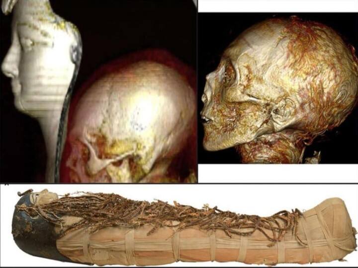 Scientists has digitally opened 3500 year old mummy of egyptian king Trending News: डिजीटल तरीके से खोली गई मिस्र के राजा की 3,500 साल पुरानी ममी, तस्वीर हुई वायरल