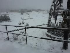 Darjeeling Snowfall: তুষারচাদরে ঢাকল দার্জিলিং, দেখুন ছবি