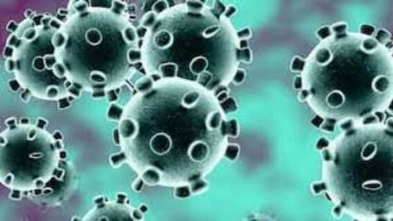 World Covid Update: আমেরিকা থেকে ইউরোপ, লাফিয়ে বাড়ছে কোভিড আক্রান্তের সংখ্যা| Bangla News