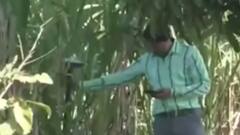 ફટાફટ: મહેસુલ મંત્રી રાજેન્દ્ર ત્રિવેદીએ ખેડૂતોને આપ્યું અભય વચન, જુઓ ગુજરાતી ન્યુઝ