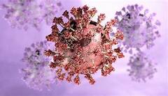 Omicron: বিদেশে না গিয়েই ওমিক্রন-আক্রান্ত! বাড়ছে উদ্বেগ| Bangla News