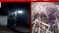 Purulia Elephant: ঝালদার গ্রামে হাতির তাণ্ডব| Bangla News