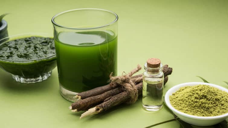 Recipes: क्या आपने कभी नीम का शरबत पिया है? क्या है इसकी रेसिपी और फायदे? जानिए
