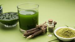 Health Tips: नीम के शरबत का सेवन कर पाएं कई स्वास्थ्य लाभ, जानें इसे बनाने का आसान रेसिपी