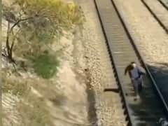 Watch: अपनी जान पर खेलकर शख्स ने बचाई कुत्ते की जान, लोग बोले- 'ये है असली हीरो'!