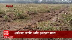 Akola : अकोल्यात काढणीला आलेल्या तूर पिकाला गारपिटीचा फटका ABP Majha