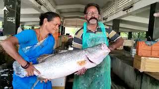 యానాంలో మత్య్సకారుల వేటలో చిక్కిన ఏషియన్ సీ బాస్