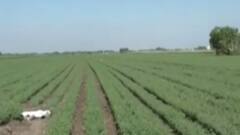 ગુજરાતમાં જમીન માપણી અંગે કૃષિમંત્રી રાઘવજી પટેલે શું કરી કબુલાત,જુઓ ગુજરાતી ન્યૂઝ