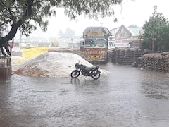 MP News: बेमौसम बरसात से जबलपुर में लाखों क्विंटल धान भीगा, प्रशासन की ये है दलील