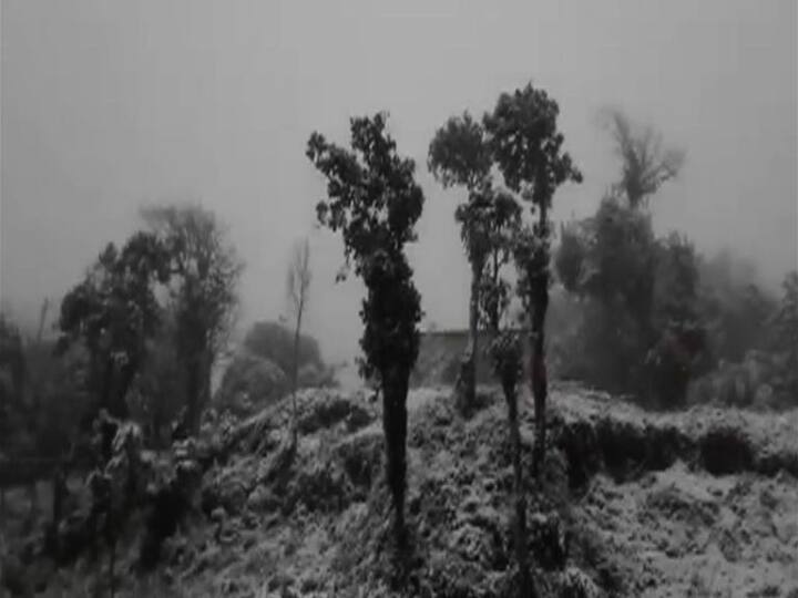 সমতল থেকে পাহাড়ে গিয়ে মন ভরে গেল পর্যটকদের। তুষারপাতের খবর পেয়ে পর্যটকদের ভিড় বাড়বে, তেমনই প্রত্যাশা স্থানীয়দের।