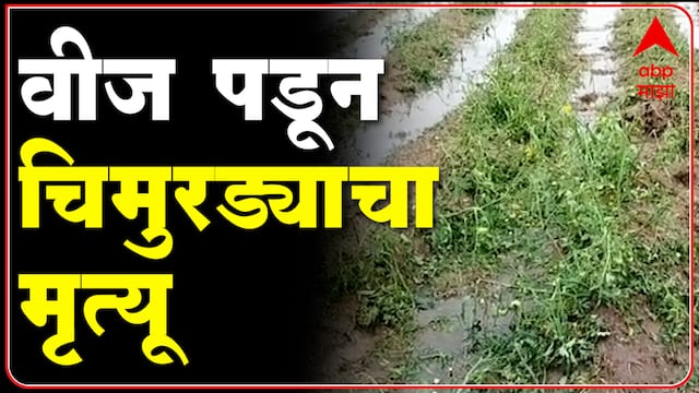 Rain Update : गारांसह अवकाळी पावसाची हजेरी, वीज पडून 9 वर्षीय मुलाचा मृत्यू : ABP Majha