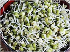 Health Tips: Breakfast में खाएं मूंग दाल स्प्राउट्स, बॉडी में पूरे दिन बनी रहेगी Energy