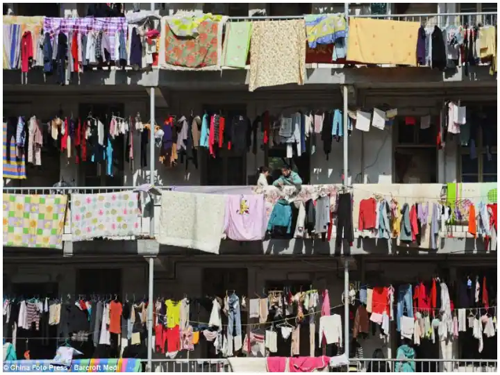 Trending News: Ban on drying clothes on balcony in this city, heavy fines will have to be paid if caught Trending News: ਇਸ ਸ਼ਹਿਰ 'ਚ ਬਾਲਕੋਨੀ 'ਚ ਕੱਪੜੇ ਸੁਕਾਉਣ 'ਤੇ ਲੱਗੀ ਪਾਬੰਦੀ, ਫੜੇ ਜਾਣ 'ਤੇ ਭਰਨਾ ਪਵੇਗਾ ਭਾਰੀ ਜੁਰਮਾਨਾ