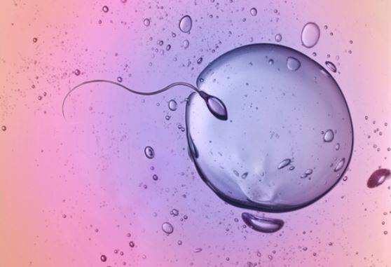 Sperm is reduced by 37%! Complications can occur in pregnancy after a corona infection 37 ਫੀਸਦੀ ਘੱਟ ਹੋ ਜਾਂਦਾ ਹੈ ਸਪਰਮ! ਕੋਰੋਨਾ ਸੰਕ੍ਰਮਣ ਤੋਂ ਬਾਅਦ ਪ੍ਰੈਗਨੈਂਸੀ 'ਚ ਆ ਸਕਦੀਆਂ ਹਨ ਮੁਸ਼ਕਿਲਾਂ