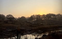 PICS | Ananya Panday’s New Year At Ranthambore