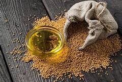 Edible Oil Price: ভালো সর্ষে বীজের জন্য়ই ভারতে ভোজ্য তেলের দাম কমছে, মত কেন্দ্রীয় খাদ্যসচিবের। Bangla News