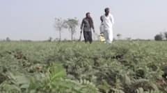 આપણી ખબર: જમીન માપણી અને રી સર્વે મામલે વાંધા અરજીનો કરાશે નિકાલ: રાજેન્દ્ર ત્રિવેદી,જુઓ ગુજરાતી ન્યુઝ