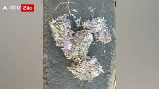 నిజామాబాద్ బుస్సాపూర్ జాతీయ రహదారిపై కాలిన నోట్ల కట్టలు