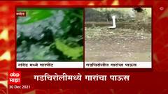 Nanded: देगलूर, बिलोली, नायगावात जोरदार पाऊस, खरीप पिकाला फटका ABP Majha