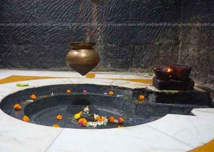 ही विविध रंगांची फुलं भाविकांना आकर्षित करत आहे.