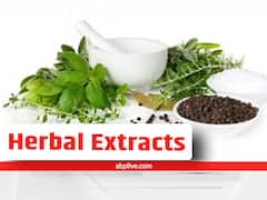 Health Tips: शरीर को बीमारियों से रखना है दूर, इन विटामिन, मिनरल्स और हर्बल एक्सट्रेक्ट का करें सेवन