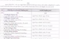 રાજ્યમાં 33 ટીડીઓની કરવામાં આવી બદલી, જુઓ ગુજરાતી ન્યુઝ