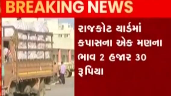 રાજકોટઃ યાર્ડમાં કપાસના ભાવ ઓલટાઈમ હાઈ, ખેડૂતો ખુશખુશાલ; જુઓ ગુજરાતી ન્યૂઝ