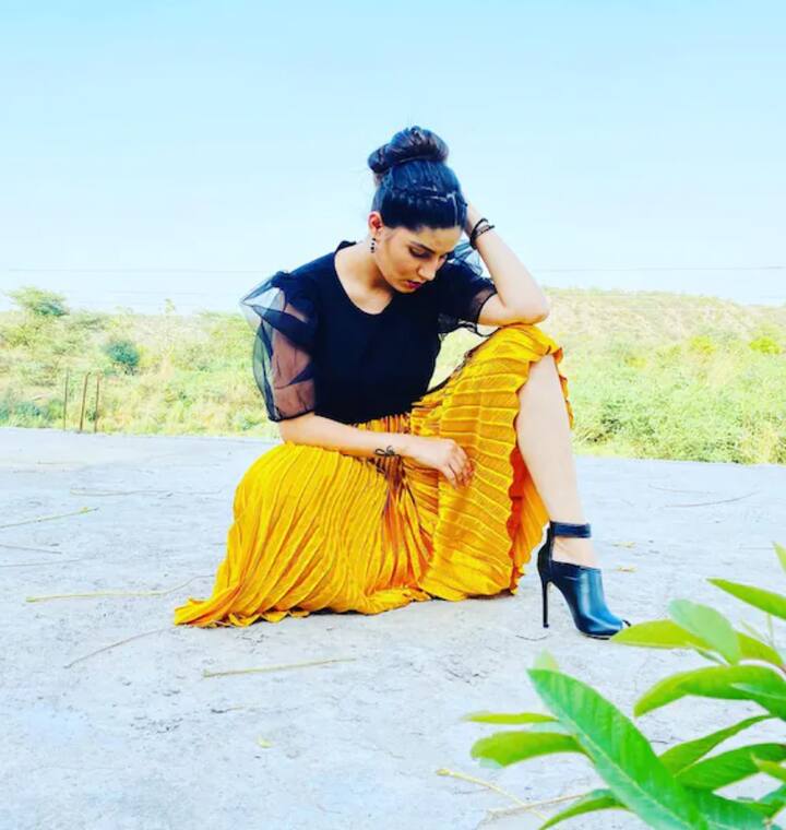 ਰਿਐਲਿਟੀ ਸ਼ੋਅ 'ਬਿੱਗ ਬੌਸ' ਤੋਂ ਬਾਅਦ ਸਪਨਾ ਦੀ ਲੋਕਪ੍ਰਿਅਤਾ 'ਚ ਕਾਫੀ ਵਾਧਾ ਹੋਇਆ ਹੈ। ਇੰਸਟਾਗ੍ਰਾਮ 'ਤੇ ਸਪਨਾ ਨੂੰ ਫੌਲੋ ਕਰਨ ਵਾਲਿਆਂ ਦੀ ਗਿਣਤੀ 4.5 ਮਿਲੀਅਨ ਤੱਕ ਪਹੁੰਚ ਗਈ ਹੈ।