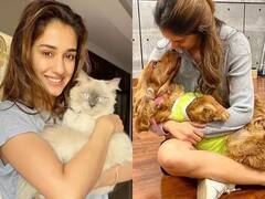 Bollywood Celebrities Pets Instagram: प्रियंका चोपड़ा से लेकर जान्हवी कपूर तक ने बनाया पेट्स अकाउंट, फॉलोवर्स किसी स्टार से कम नहीं !