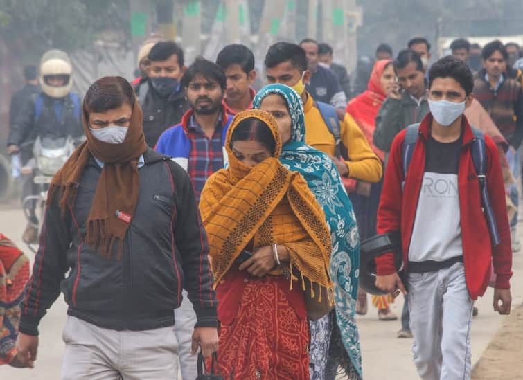 Chilly New Year: North India To Shiver As Cold To Severe Cold Wave Conditions May Prevail Till Jan 3 IMD Chilly New Year: North India To Shiver As Cold-To-Severe-Cold Wave May Prevail Till Jan 3, Says IMD