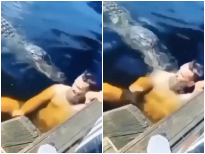 Crocodile attacked on man while swimming see viral video Watch: तैराकी का मजा ले रहे शख्स पर मगरमच्छ ने किया हमला, वीडियो हुआ वायरल