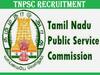 முதுநிலை பட்டதாரியா நீங்கள்? தமிழக அரசுப்பணிக்கு விண்ணப்பிக்க அரிய வாய்ப்பு!